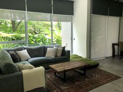 Botannia (D5), Condominium #555208231